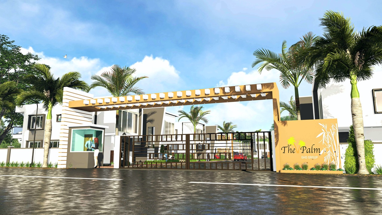 The Palm