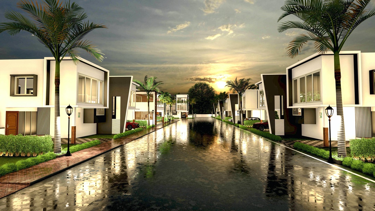 The Palm