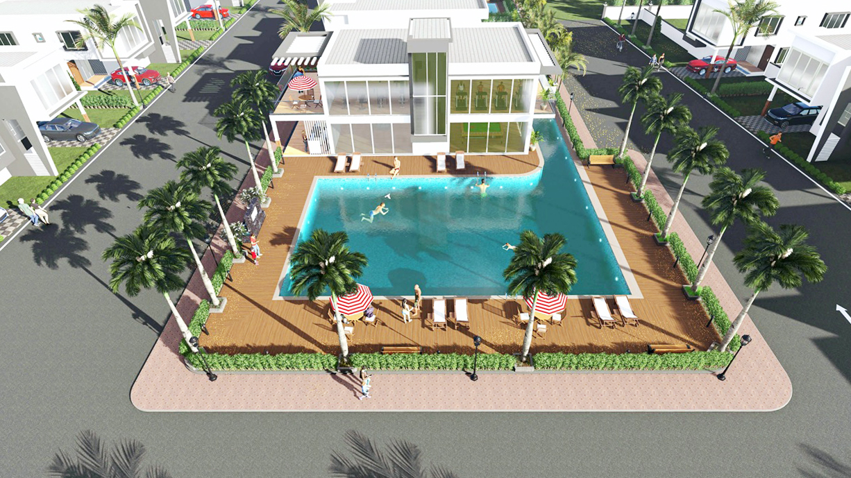 The Palm